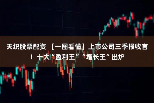 天织股票配资 【一图看懂】上市公司三季报收官！十大“盈利王”“增长王”出炉