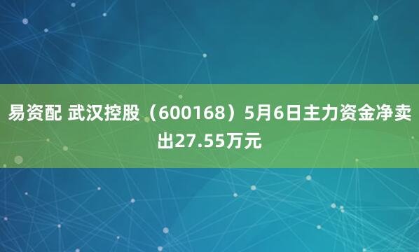 易资配 武汉控股（600168）5月6日主力资金净卖出27.55万元