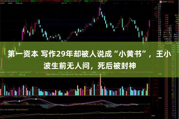 第一资本 写作29年却被人说成“小黄书”，王小波生前无人问，死后被封神