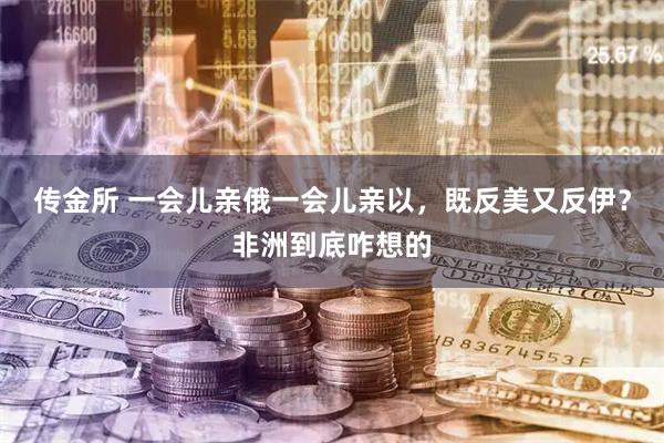 传金所 一会儿亲俄一会儿亲以，既反美又反伊？非洲到底咋想的